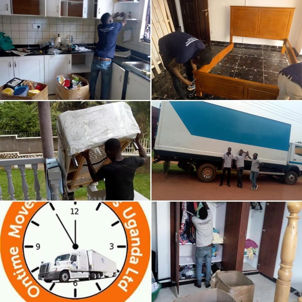 Fleet of moving trucks ready for transport