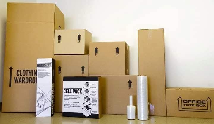 Professional packer carefully wrapping items in bubble wrap